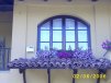 liliana63