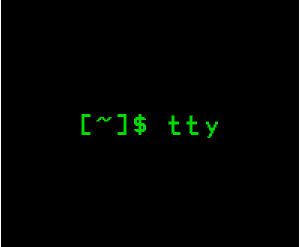 tty