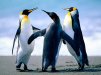 postix22